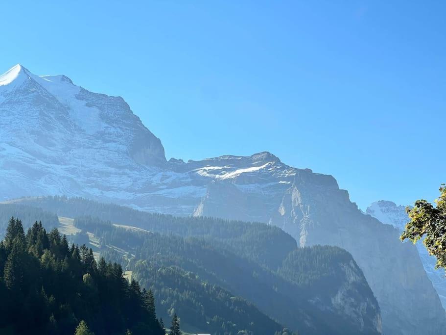 Wengen Apartment - Amazing Views, Centrally Located By Train Station Εξωτερικό φωτογραφία