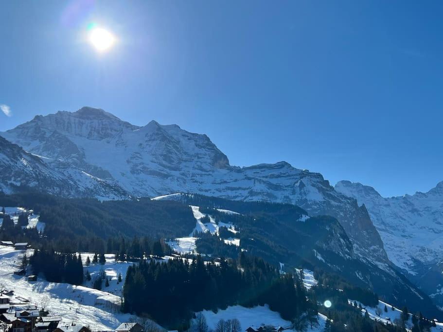 Wengen Apartment - Amazing Views, Centrally Located By Train Station Εξωτερικό φωτογραφία