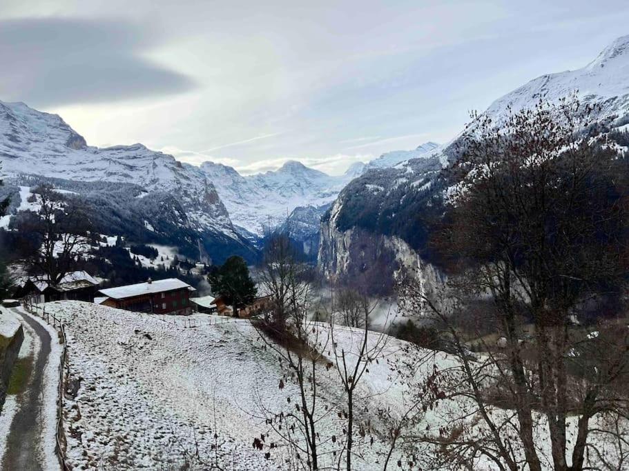 Wengen Apartment - Amazing Views, Centrally Located By Train Station Εξωτερικό φωτογραφία