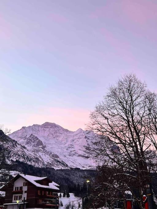 Wengen Apartment - Amazing Views, Centrally Located By Train Station Εξωτερικό φωτογραφία