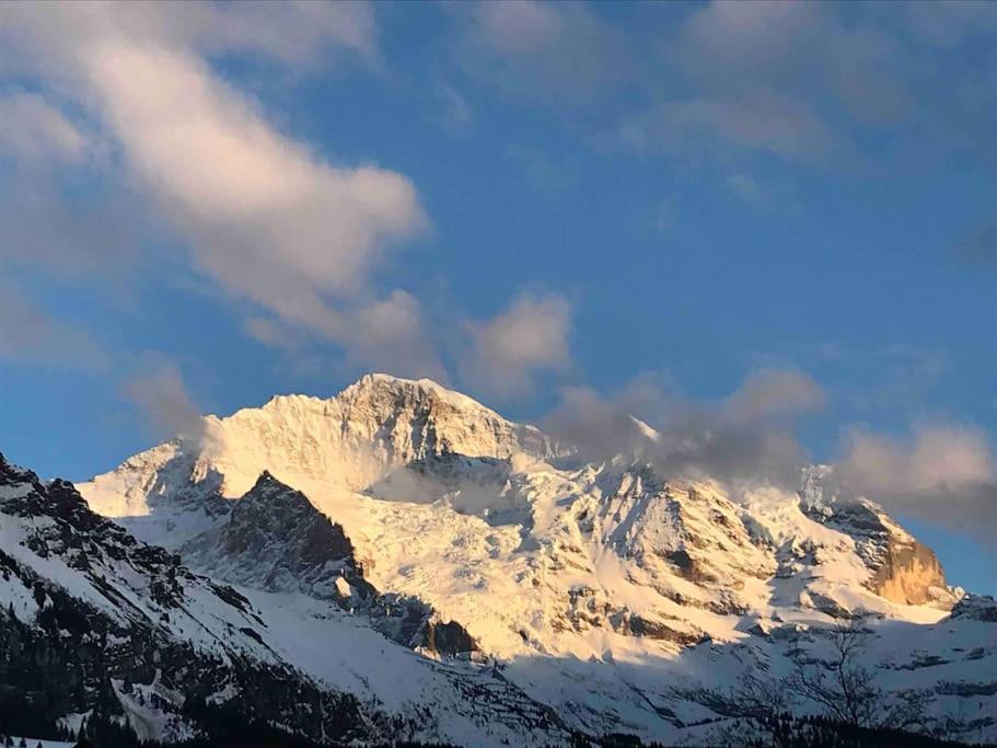 Wengen Apartment - Amazing Views, Centrally Located By Train Station Εξωτερικό φωτογραφία